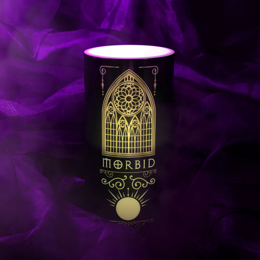 Morbid X Culture Fly Collector's Box-3